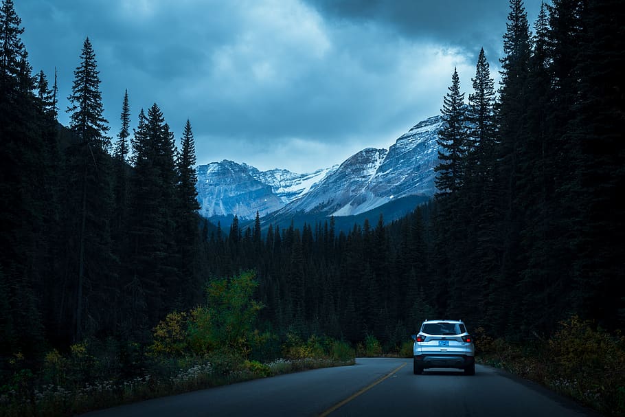 alberta, canada, trees, road, mountains, forest, transportation HD wallpaper