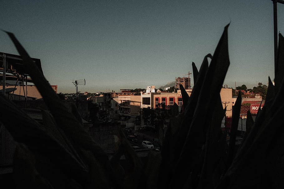 aesthetics, grunge, vintage, retro, tumblr, sky, plants, architecture