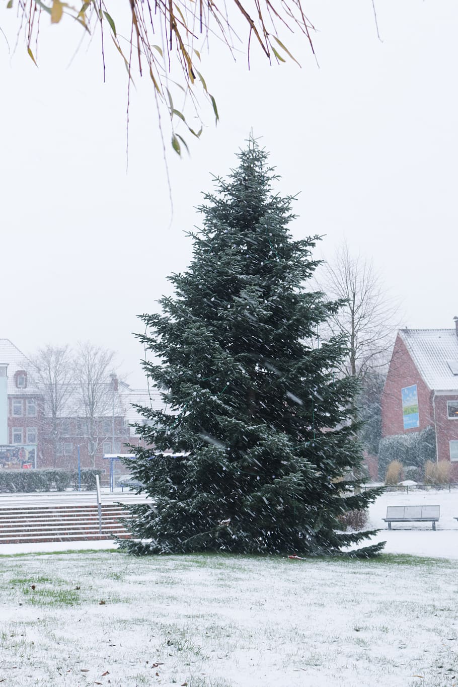 tree, shopping, xma, peace, peaceful, white, nature, cool, cold HD wallpaper