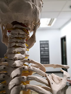 physiotherapy-osteopathy-pilates-yoga-thumbnail.jpg