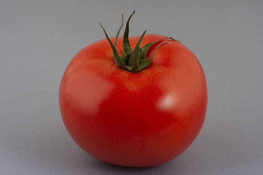 tomato, red, fruit, healthy, vegan, vitamin, nutrition, fresh HD wallpaper
