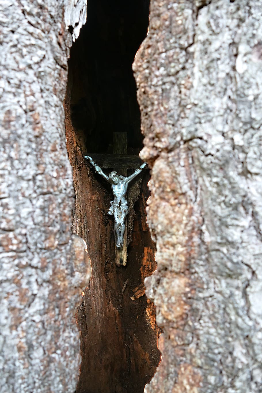 tree, bark, wood, cross, jesus, christianity, religion, old HD wallpaper