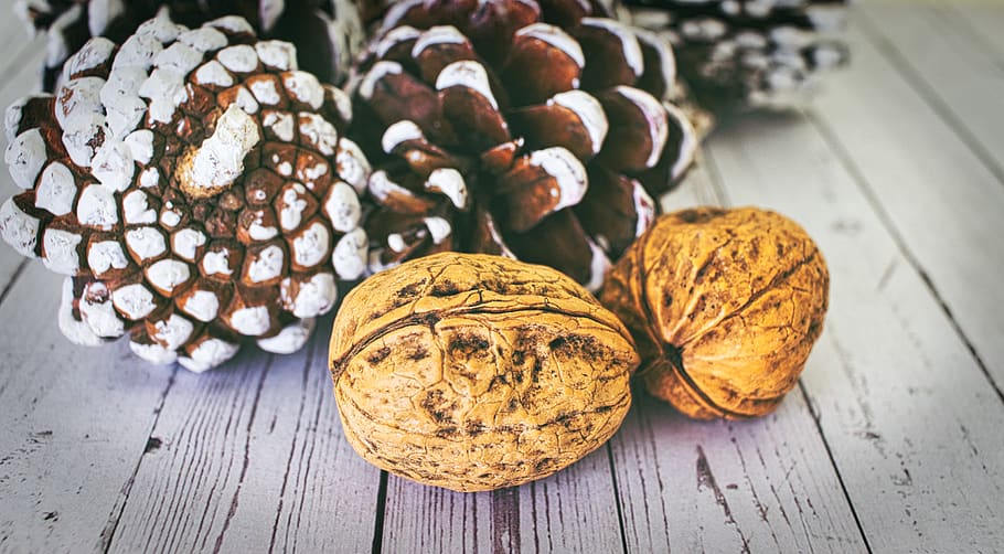 walnut, shell, structure, pine cones, brown, christmas, winter HD wallpaper