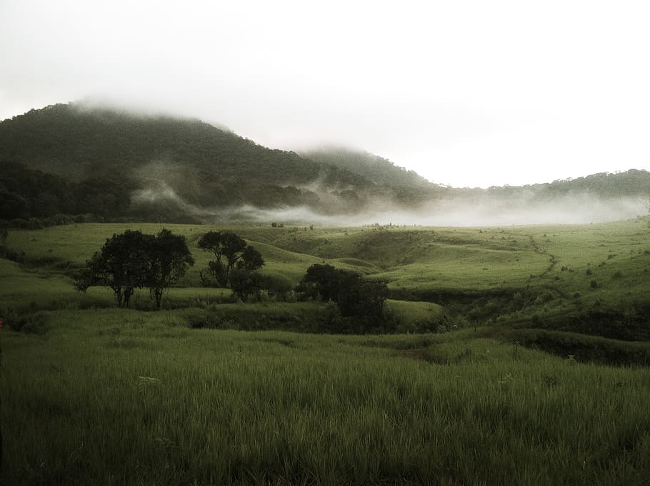 indonesia, mount papandayan, landscape, environment, plant HD wallpaper
