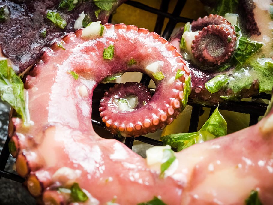 germany, ludwigshafen, pulpo, cooking, food, red, fish, octopus, HD wallpaper