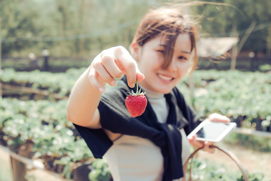 Woman Holding Strawberry, blurred background, cellphone, daylight HD wallpaper
