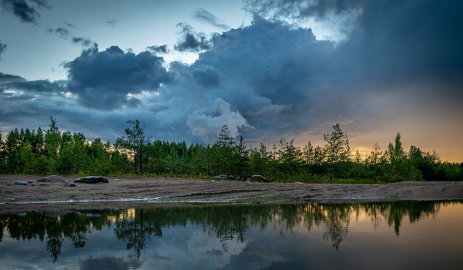 Trees Under White Clouds, environment, evening, landscape, nature HD wallpaper