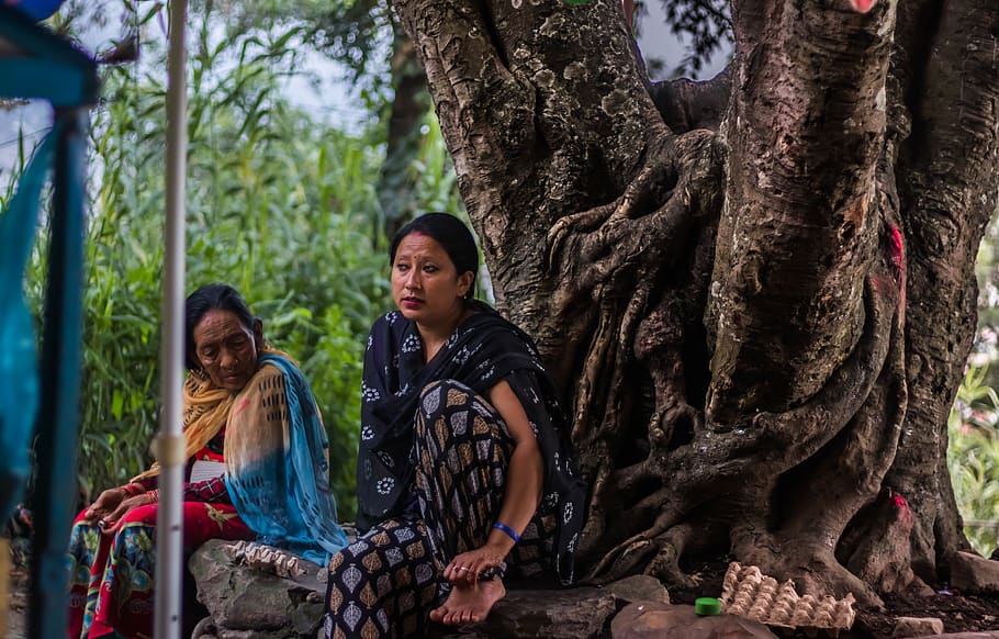 two women sitting on tree rotos, human, person, plant, apparel, HD wallpaper