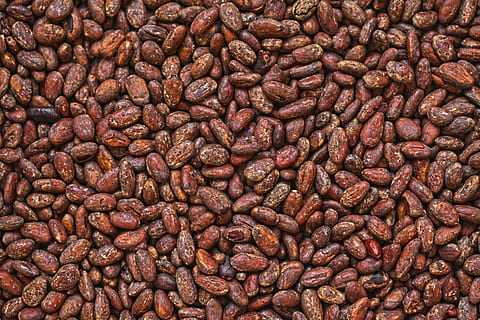 brown stone lot, plant, food, bean, vegetable, chocolate, soy HD wallpaper