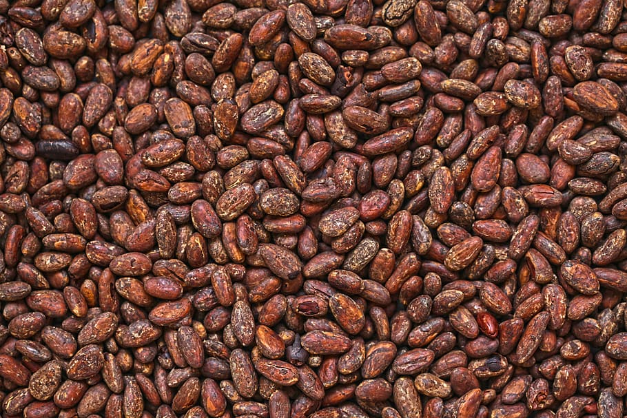 brown stone lot, plant, food, bean, vegetable, chocolate, soy HD wallpaper