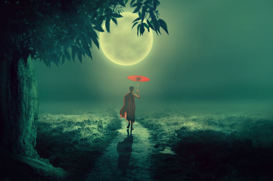 tree, moon, lane, monk, screen, moonlight, boy, away, grass HD wallpaper