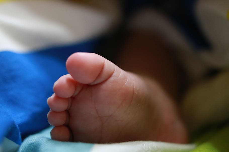 baby, feet, newborn, child, the baby's legs, small, cute, toddler, HD wallpaper