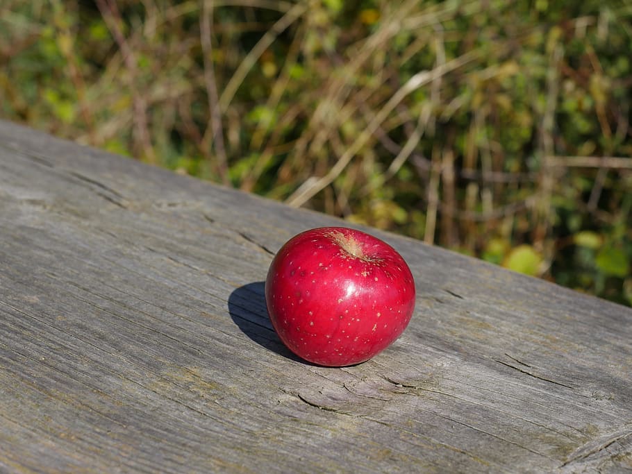 apple, fruit, red, fresh, eat, food, healthy eating, food and drink HD wallpaper