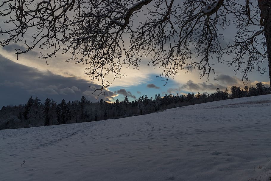 wide, wintry, sky, mood, landscape, clouds, branches, hill HD wallpaper