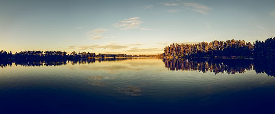 Silhouette of Trees Beside Body of Water Under Clear Blue Sky HD wallpaper