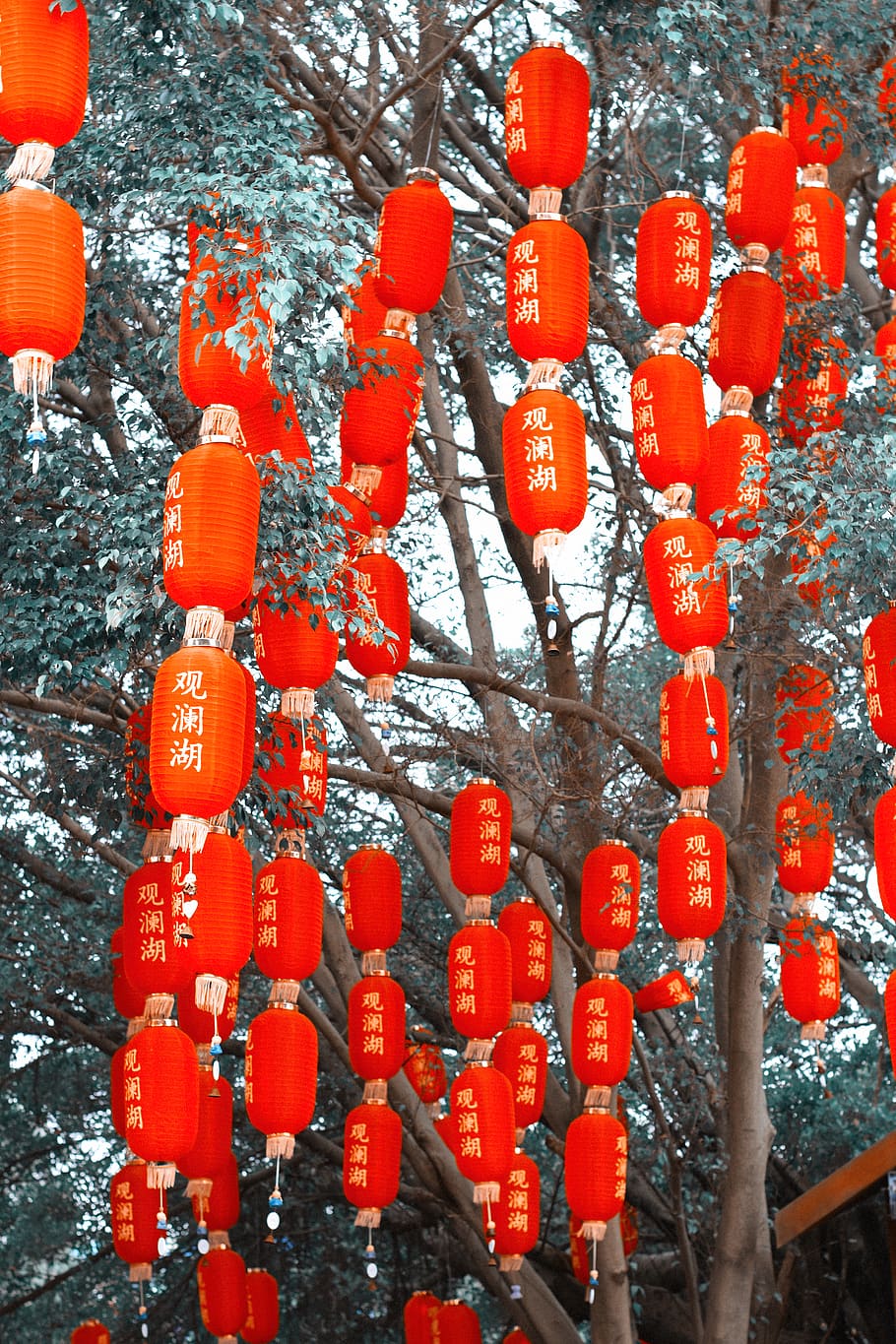 red, lantern, china, tradition, lucky, chinese, festival, paper lantern HD wallpaper