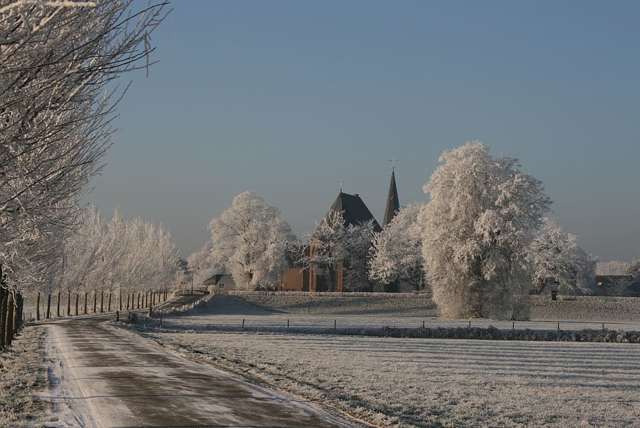 wilp, netherlands, snow, gelderland, winteriscoming, lebuinus, HD wallpaper