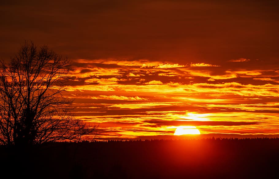 setting sun, sunset, clouds, tree, sky, abendstimmung, evening sky HD wallpaper