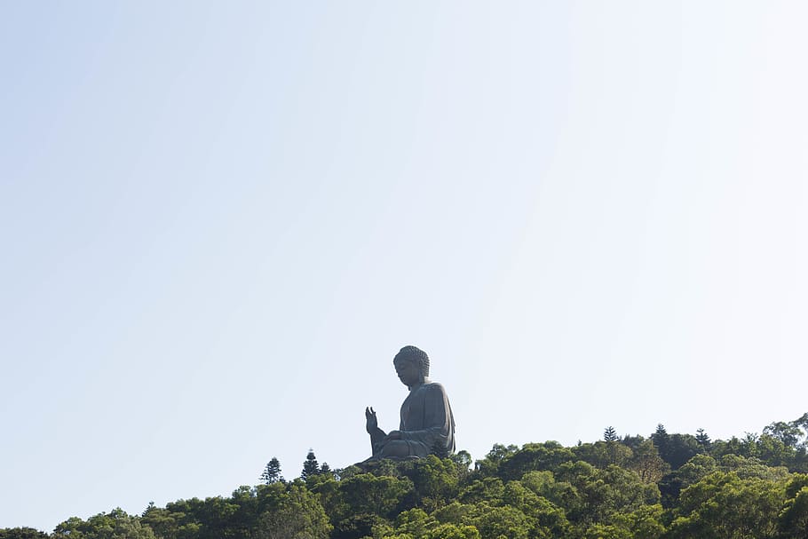 hong kong, tian tan buddha, trees, asia, sculpture, giant buddha