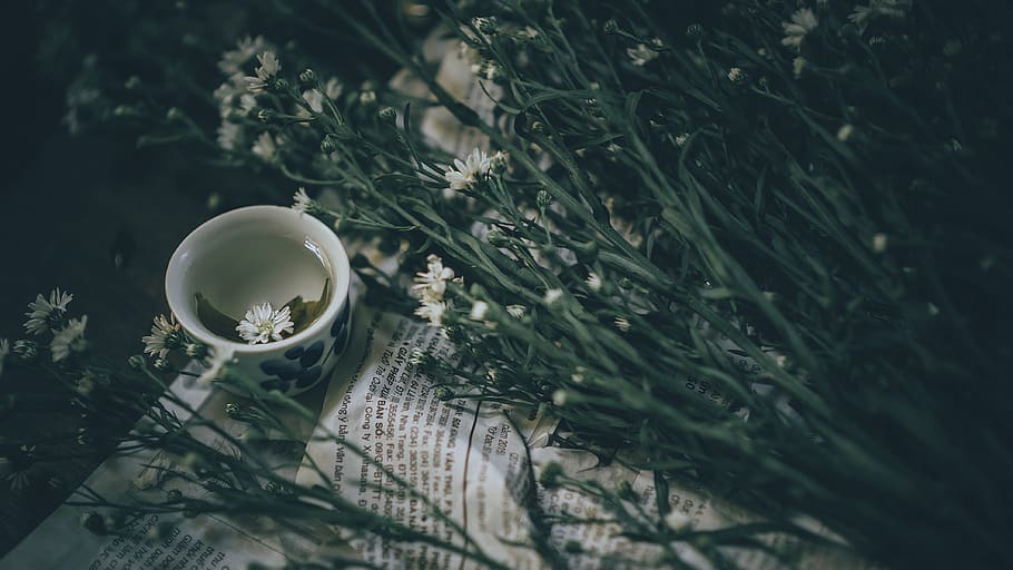 landscape, tea, nature, green, agriculture, mountain, sky, grass HD wallpaper
