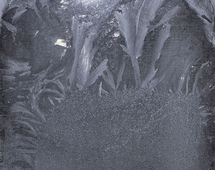background, cold, design, frost, glass, hoarfrost, snow, snowflakes HD wallpaper