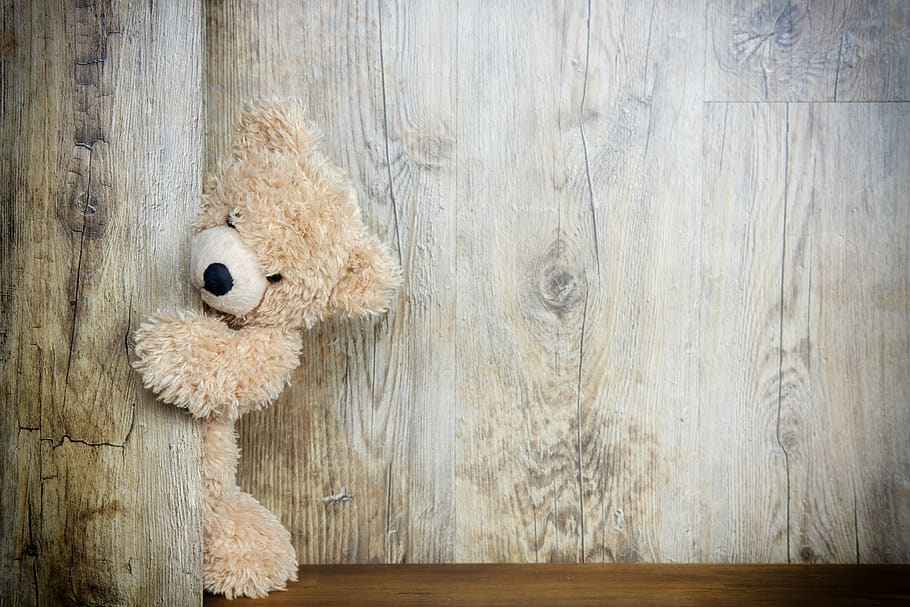 bear, teddy bear, cuddly bear, stuffed animal, soft toy, bears, HD wallpaper