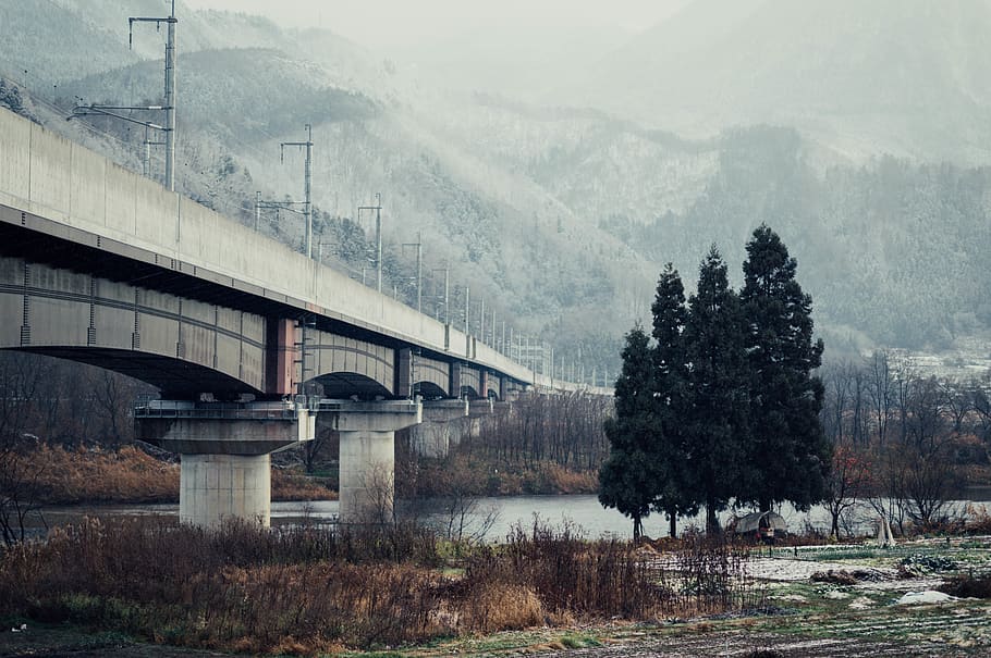 bridge over water, plant, tree, nature, road, abies, fir, building HD wallpaper