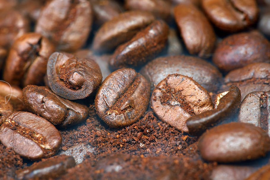 bean, background, macro, pattern, food, drink, dark, photography HD wallpaper