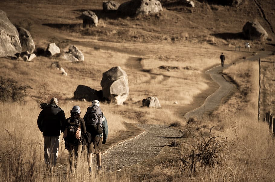 three person walking through road, castle hill, hike, outdoor HD wallpaper