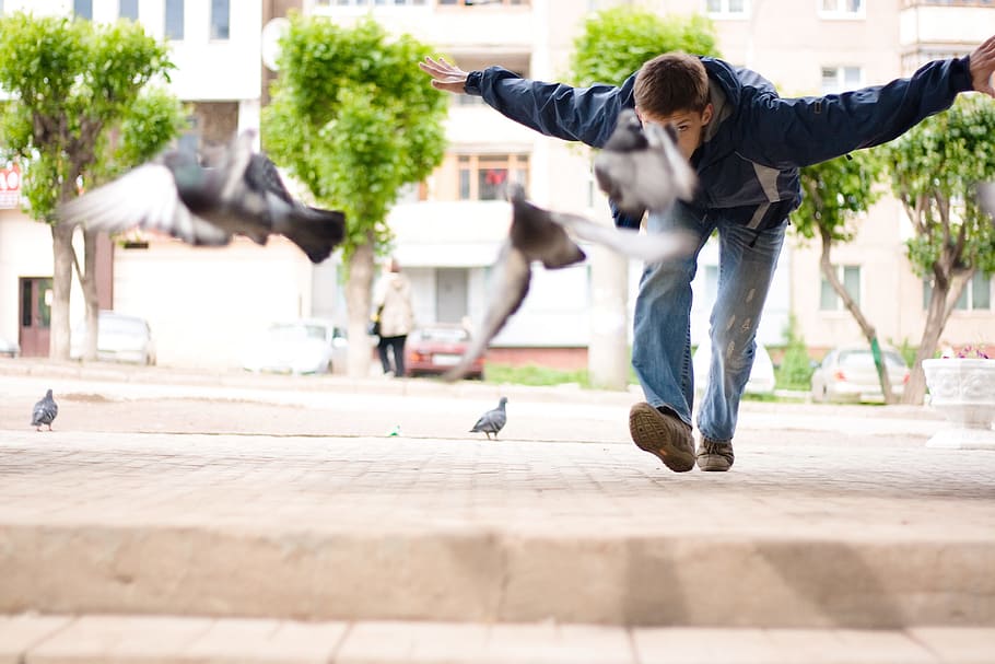 flying, man, birds, doves, casual clothing, architecture, full length HD wallpaper
