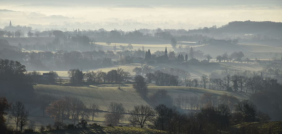 landscape, tarn, mist, valley, fog, tree, scenics - nature HD wallpaper