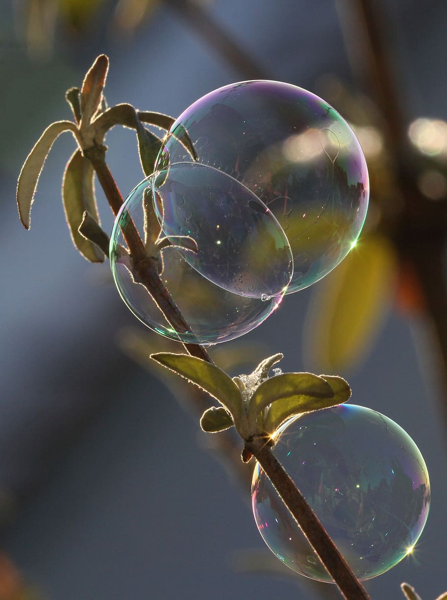 soap bubble, light, ease, reflection, vulnerability, fragility HD wallpaper