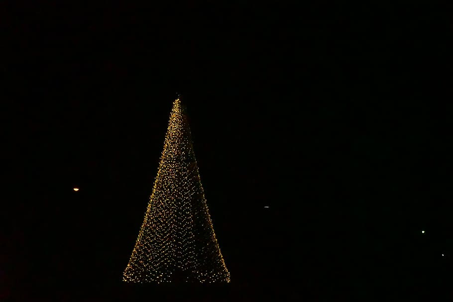 christmas, christmas tree, christmas decoration, celebration HD wallpaper