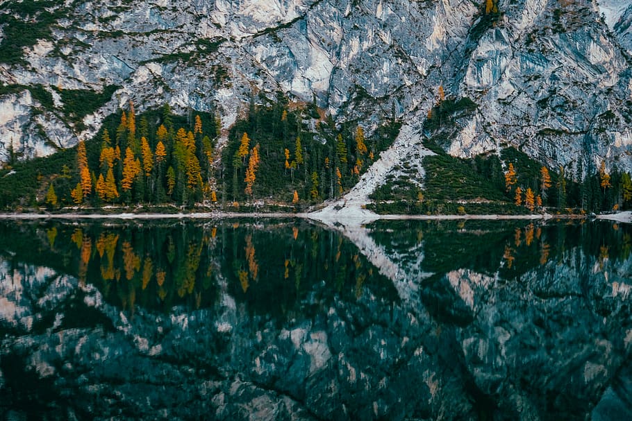 Pine Trees Beside Mountain, daylight, reflection, scenic, water HD wallpaper