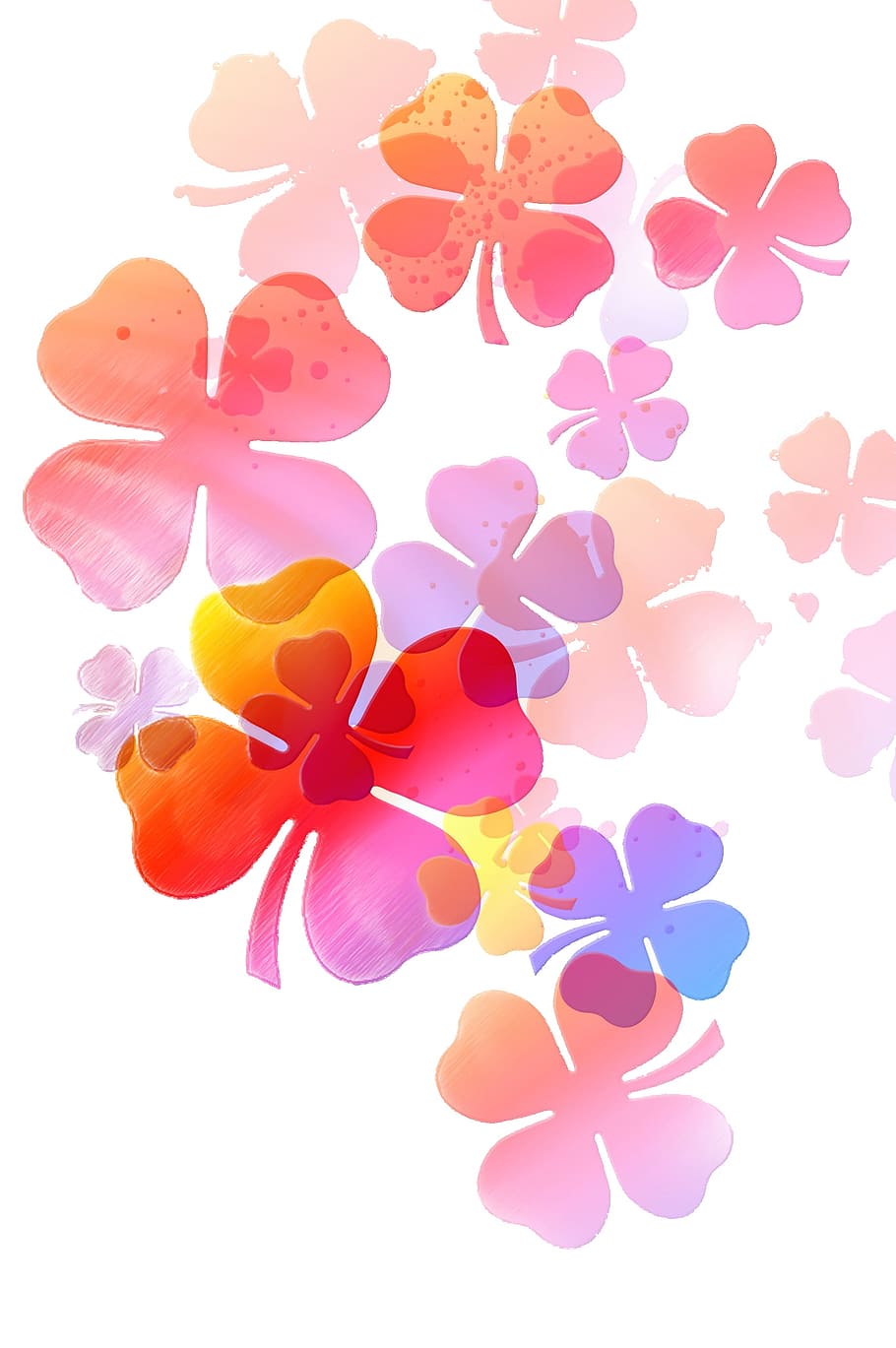 flower, colorful, graphical, fresh, white background, no people HD wallpaper