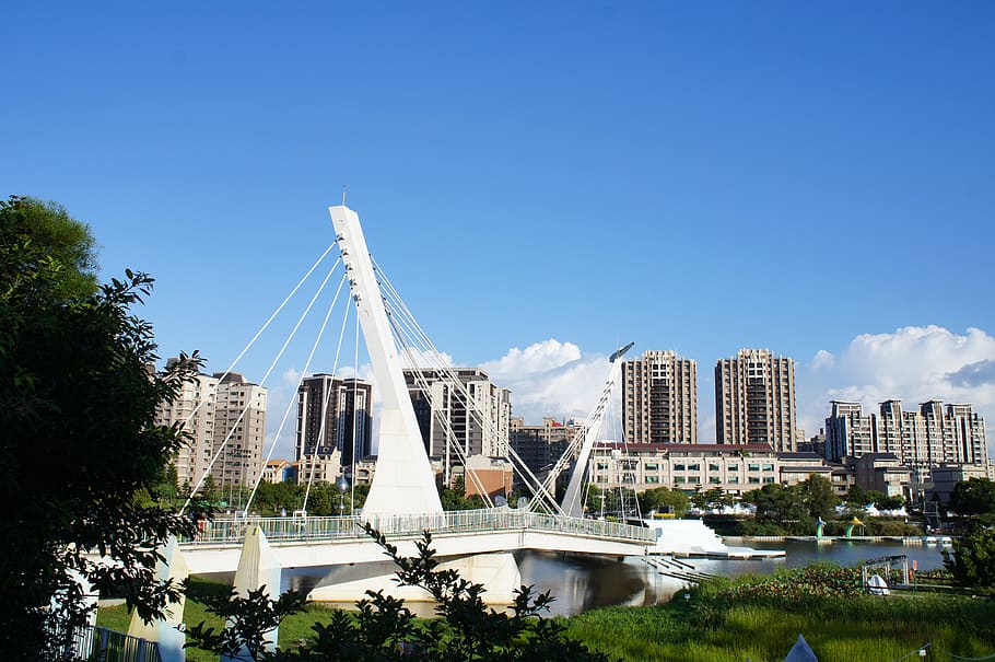 high-rise buildings, urban, city, architecture, nature, tree HD wallpaper