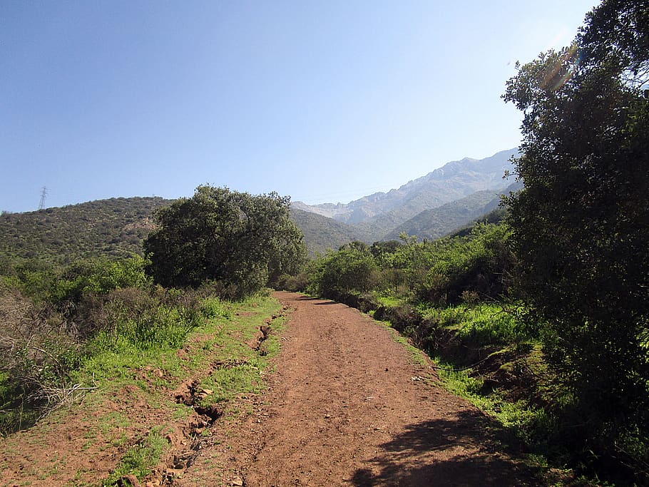 path, road, hill, way, floor, nature, plant, sky, direction HD wallpaper