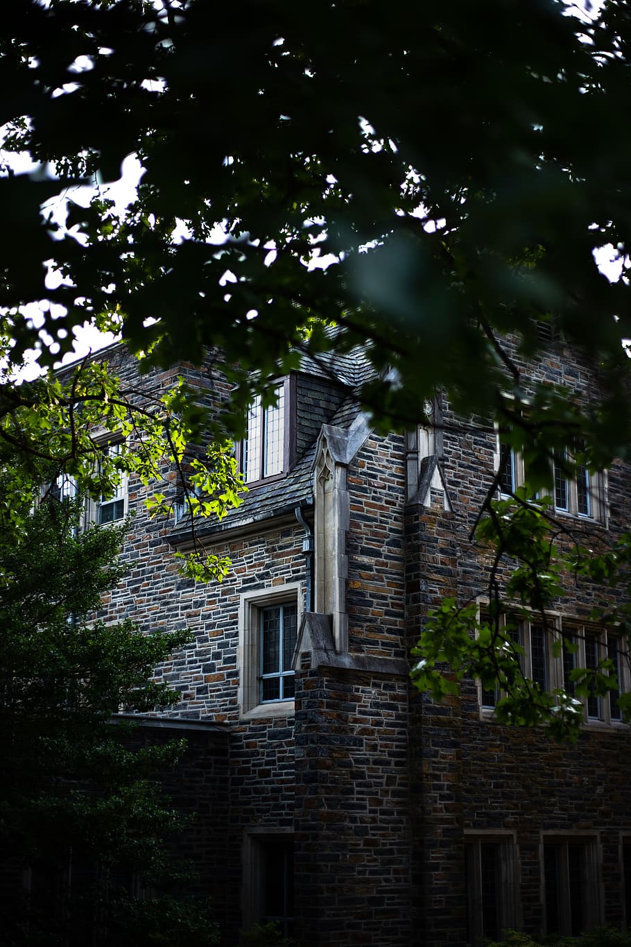 architecture, built structure, tree, building exterior, plant HD wallpaper