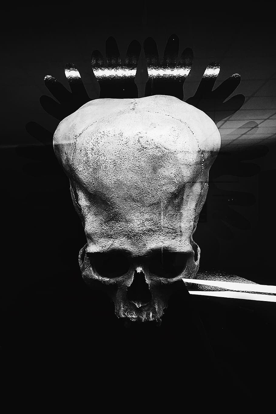 peru, human, bones, skull, black, blackandwhite, indoors, close-up HD wallpaper