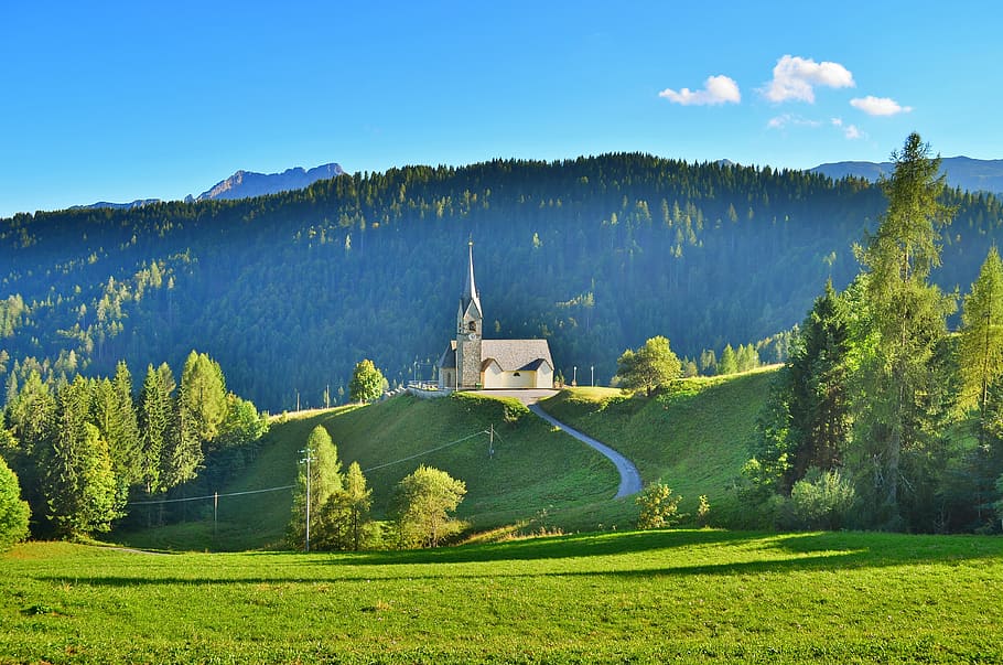 White and Gray Painted Church on Hill Top Surrounded by Trees HD wallpaper