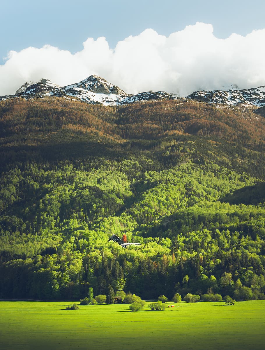 mountain, nature, outdoors, mountain range, grass, plant, countryside HD wallpaper