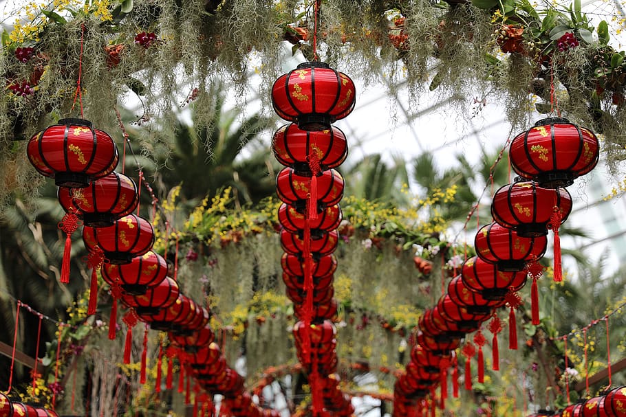 red and black lantern lamps display, plant, tree, singapore, gardens by the bay