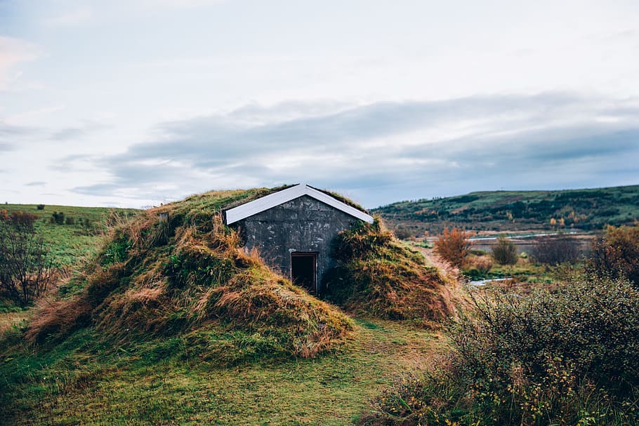 A foliage covered hut on a grassy hill in Iceland, architecture HD wallpaper