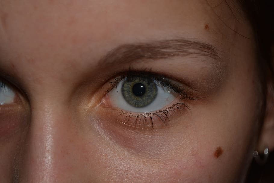 eyes, green, face, eyebrows, woman, female, eyelashes, view, HD wallpaper