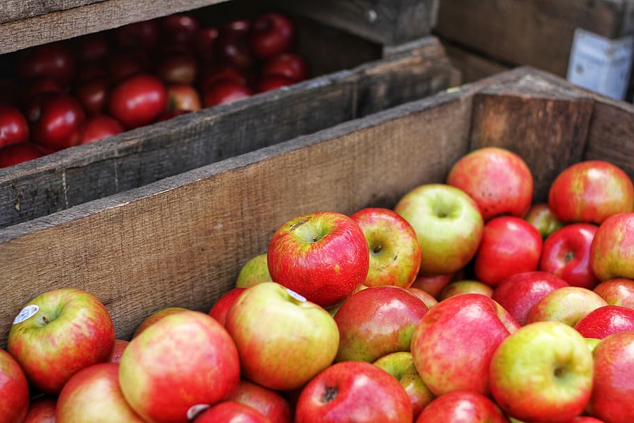 Red-and-green Apples in Brown Wooden Box, close-up, crate, delicious HD wallpaper