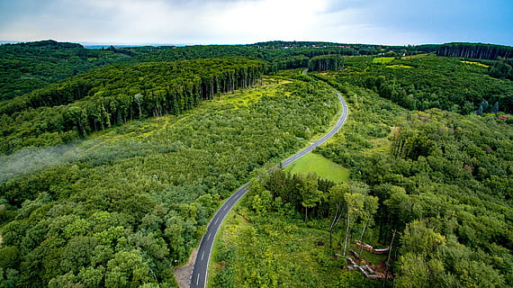 vienna, austria, drone, phantom, quadcopter, nature, trees HD wallpaper