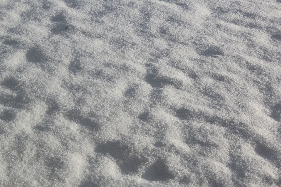 snow, cold, winter, fresh, snowfall, nature, full frame, pattern HD wallpaper