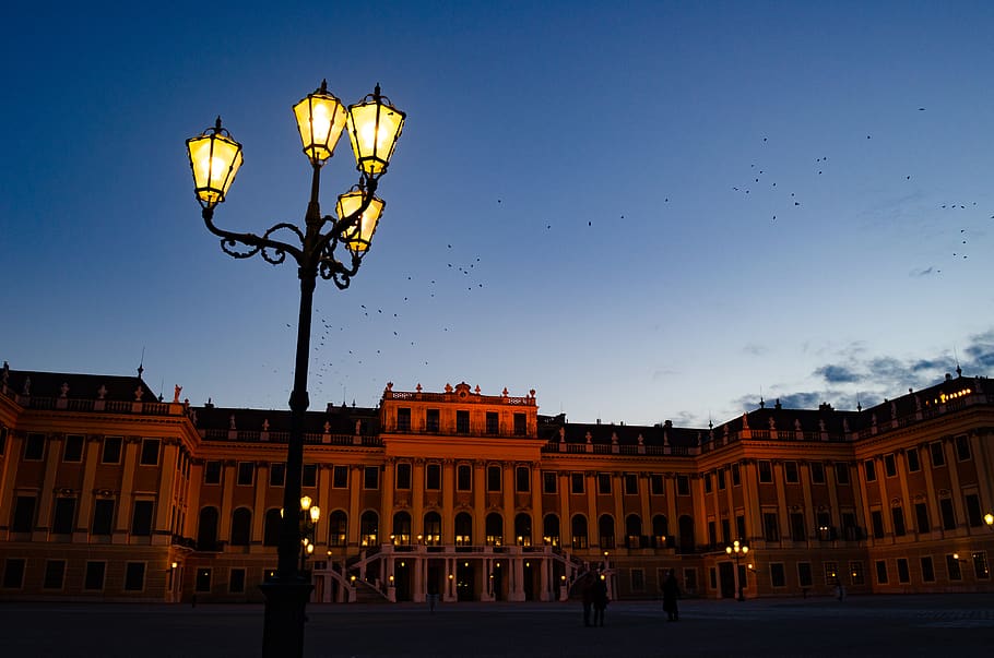 austria, wien, schönbrunn palace, down, birds, classic, vienna, HD wallpaper