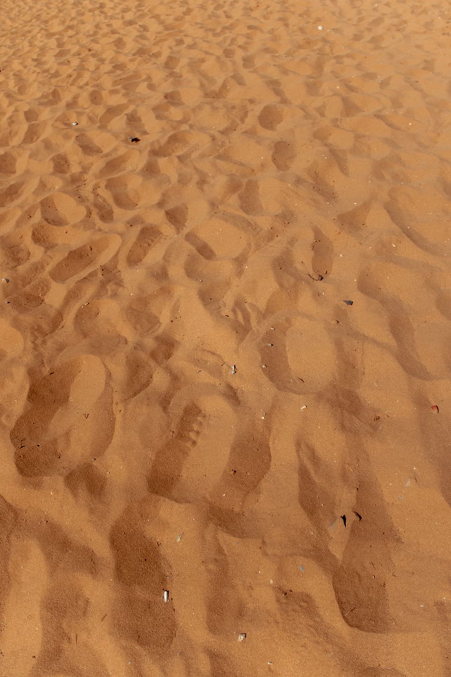 View of Sand Dunes, adventure, arid, beach, daylight, desert HD wallpaper