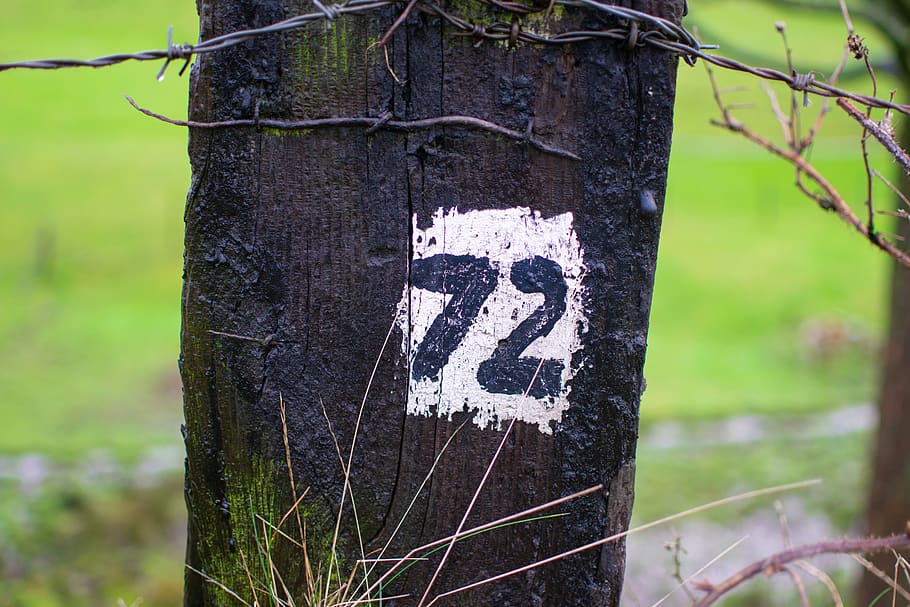 number, 72, post, canal side, painted, black, white, grass HD wallpaper